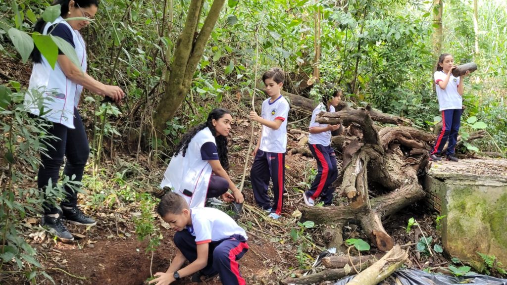 Estudantes aprendem a importância da conservação das matas ciliares