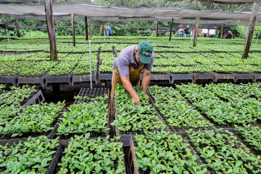 Prefeitura Municipal participa palestra sobre Cultivo de Café