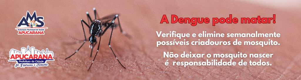 BANNER - DENGUE 2024